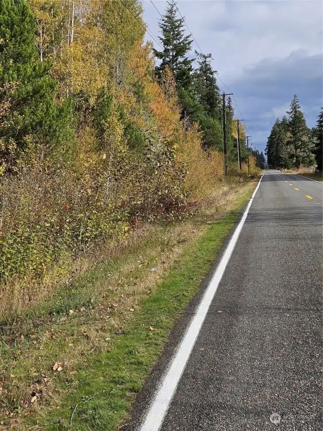 Property frontage on 138th Ave SE looking to the east.