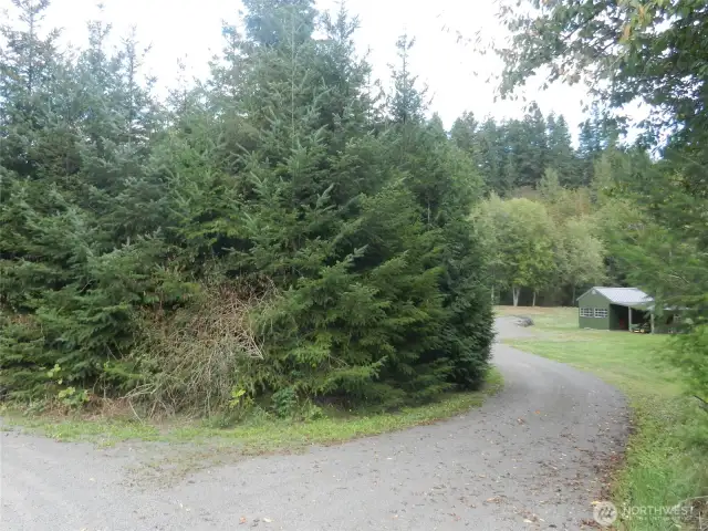 Treed entry off Hwy 101 adds privacy of the property.
