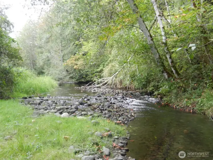 Easy access to the river!