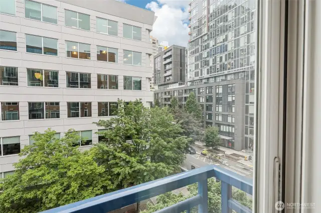 View from Unit