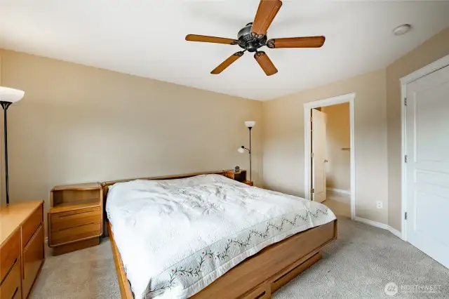 Master bedroom view from master closest.