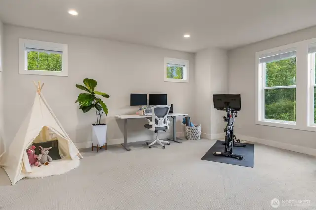 Large bonus room