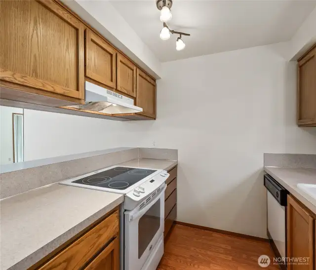 Bright Galley style Kitchen.
