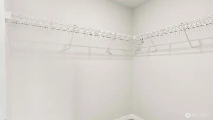Spacious primary closet!