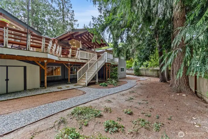 Low maintenance back yard