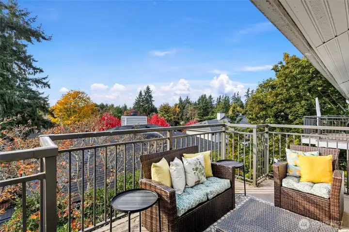 Spacious patio looking west over a canopy of beautiful trees! Gutters, soffits & railings all in great shape!