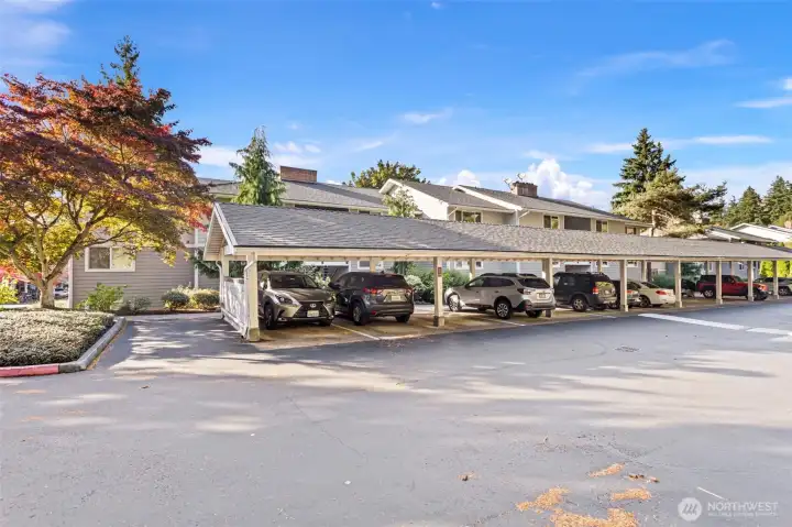 Carport parking in front of the unit. So well-maintained!