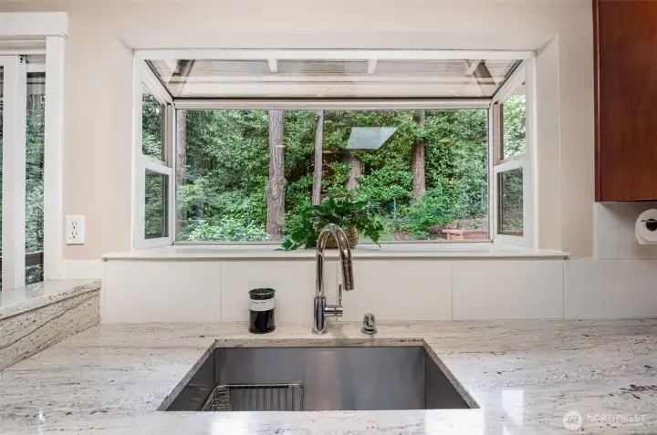 Doing dishes is a joy with a view of lush backyard.