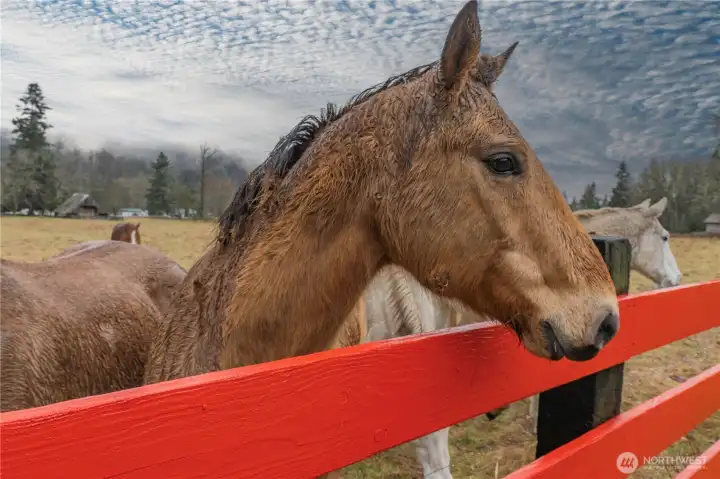 Just saying Hello Mr. Photo Man-Do You Have A Treat?