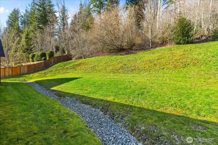 Back yard