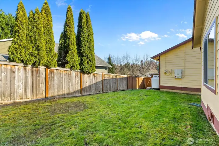 Side yard East