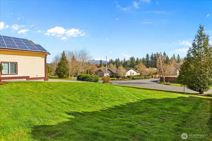 Front yard