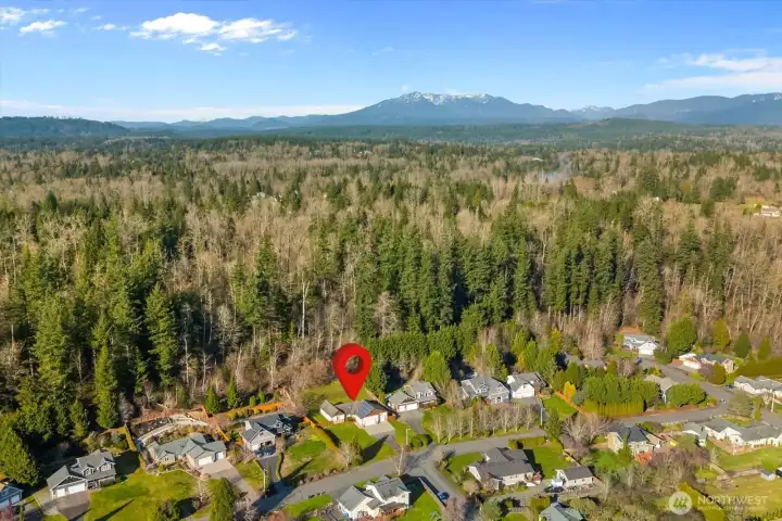 Aerial with pin 1
