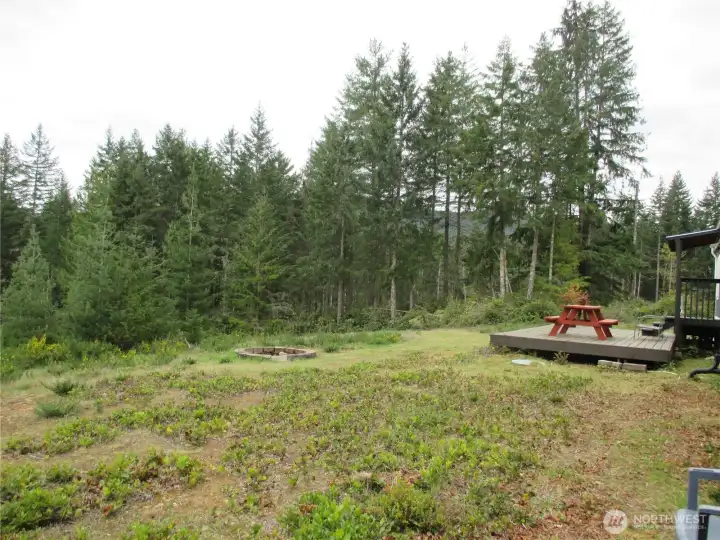 Huge back yard for recreation