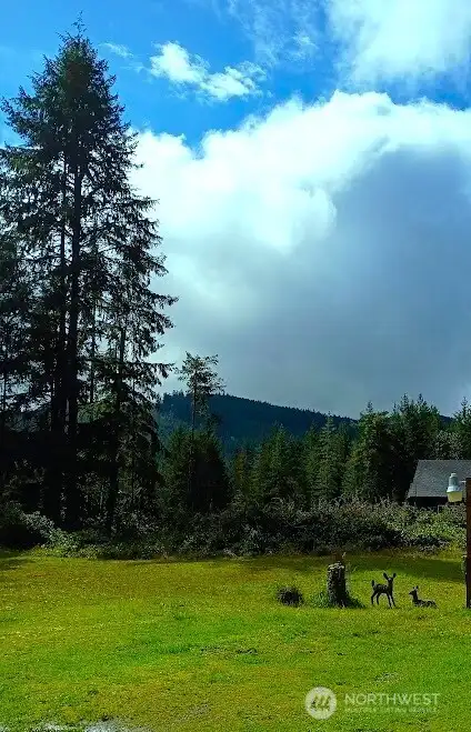 Green Mountain view from yard