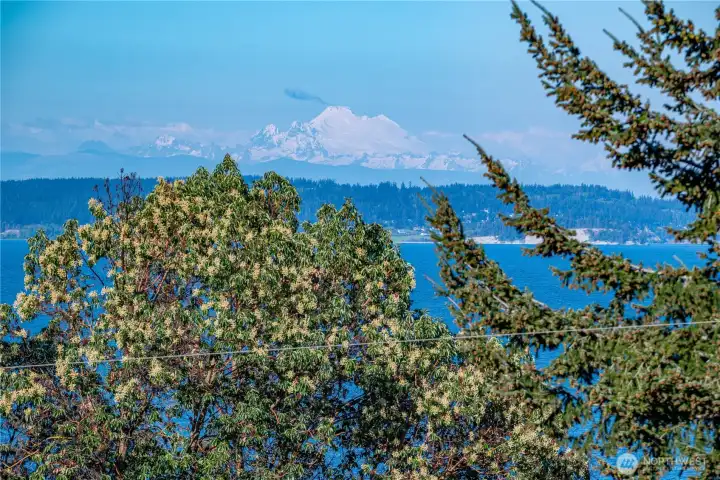 Mount Baker Views from your living room windows, so beautiful! Mount Baker Views from your living room windows, so beautiful!