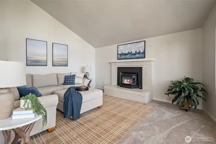 Wood burning insert and elegant surround and mantle