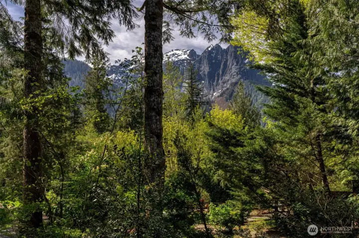 Step outside the front door and enjoy Mt Index Views. Within walking distance to Lake Serene trailhead.