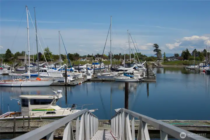BBV Marina