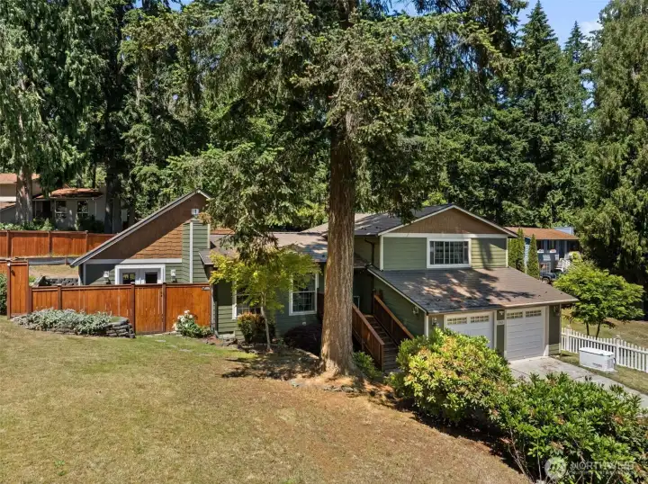 Mature Landscaping with lots of beautiful Pacific Northwest plants Mature Landscaping with lots of beautiful Pacific Northwest plants