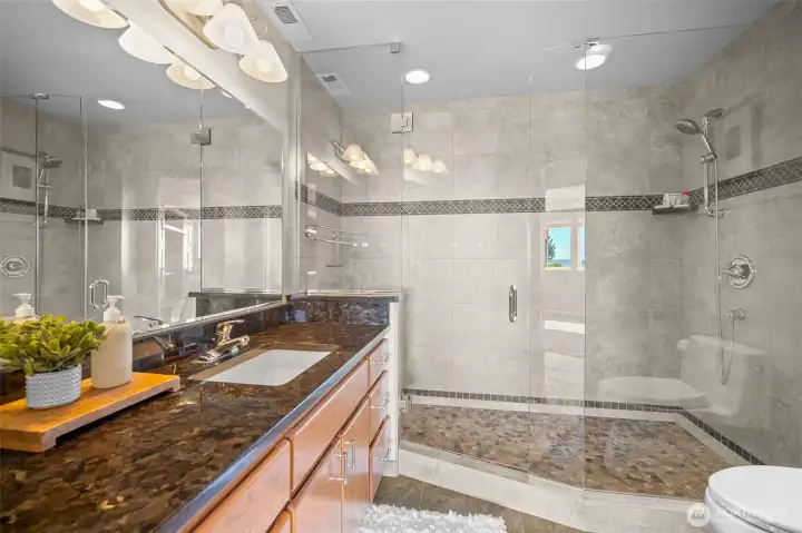 The spa-like bathroom on the lower level. The spa-like bathroom on the lower level.