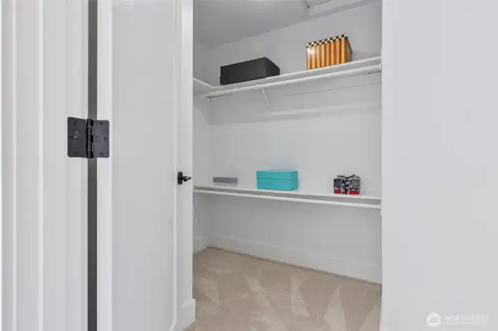 Walk-in closet in all bedrooms