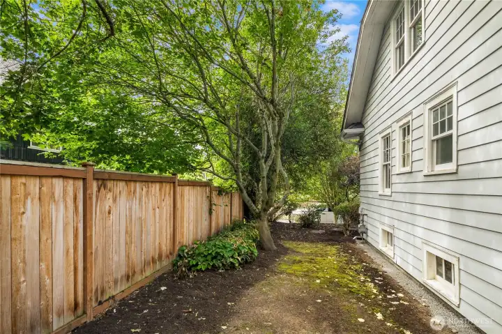 The East side yard.