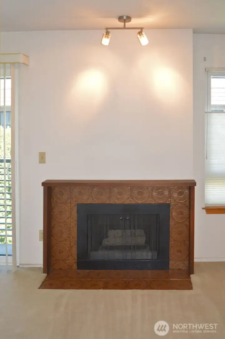 Gas Fireplace Gas Fireplace