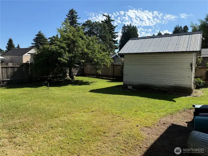 Apple tree, outbuilding Apple tree, outbuilding