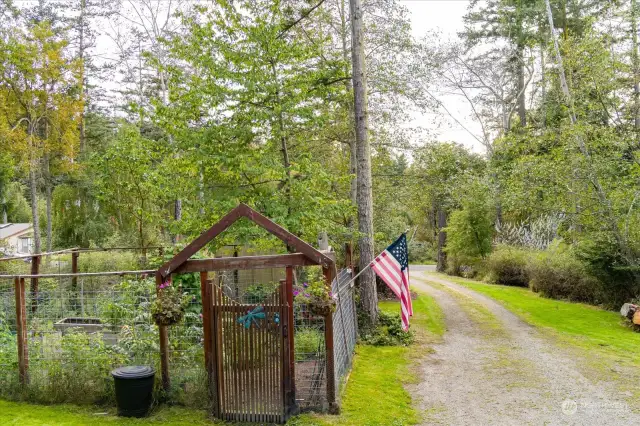 Lovely little garden with deer and rabbit fencing. The current owner has grown some incredible food out of this garden and has kept the soil very healthy.