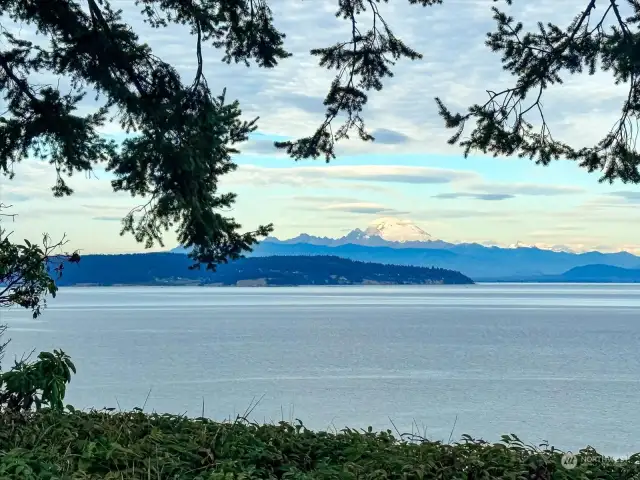 During the Gray whale migration, you might spot them feeding in the flats along this stretch of shoreline just off the beach!