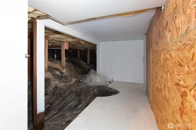 Crawl Space Storage