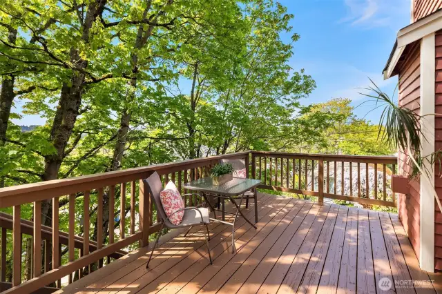 The side deck is private with nice views. The stairs lead to a fully-fenced area below.