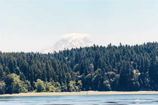 Mt Rainier view from all decks and windows.
