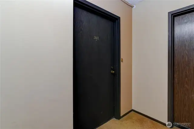 Unit Entry from hallway.