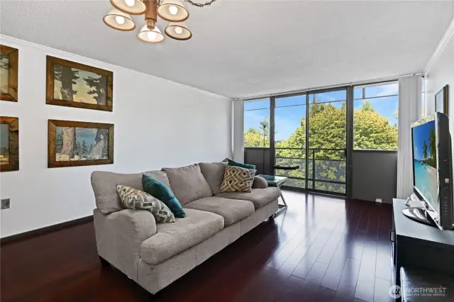 Living room.