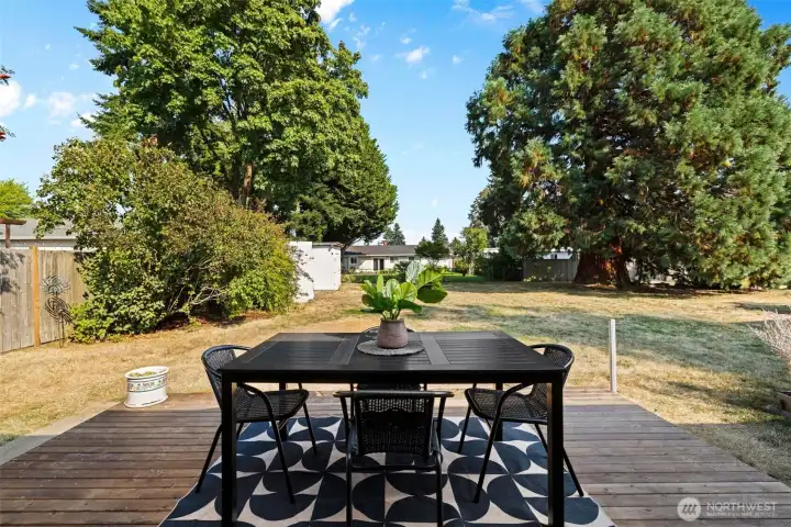 HUGE yard for pets, play, or gardening