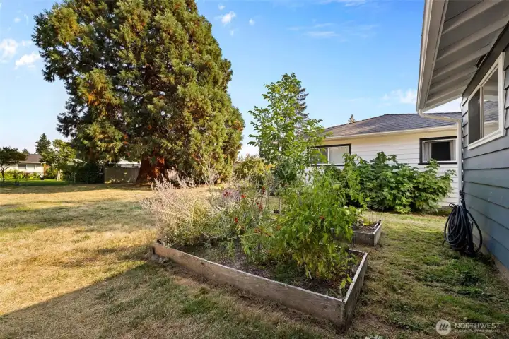 Room to grow and enjoy the outdoors