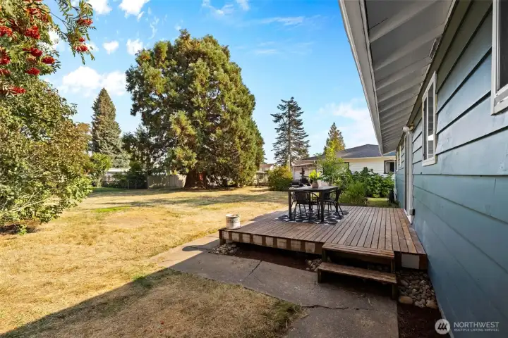 Expansive outdoor space ready for your vision