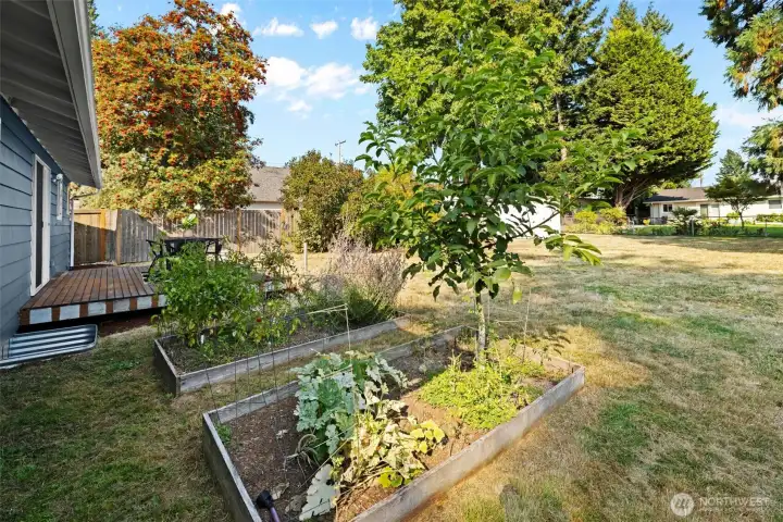 Beautiful space for gardening or play