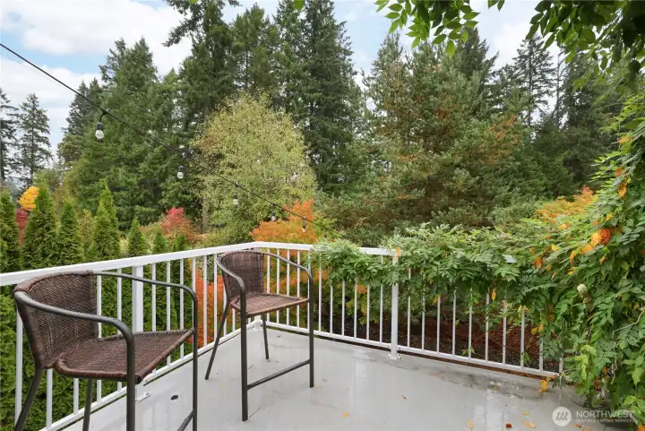 Bonus room balcony with wisteria