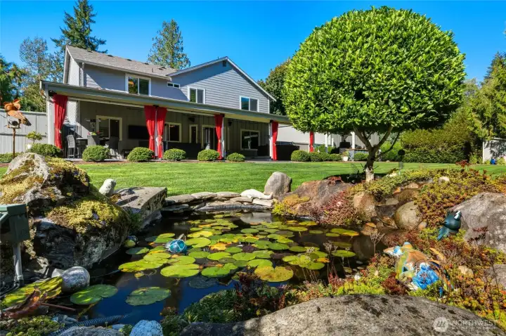 Coy/fish pond