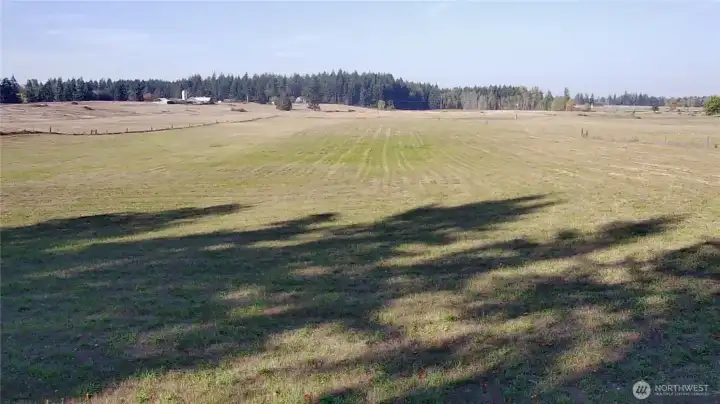 Large open area, your canvas awaits