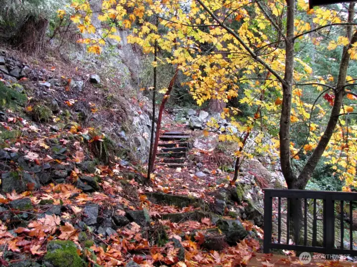 Oh where do those stairs  go?