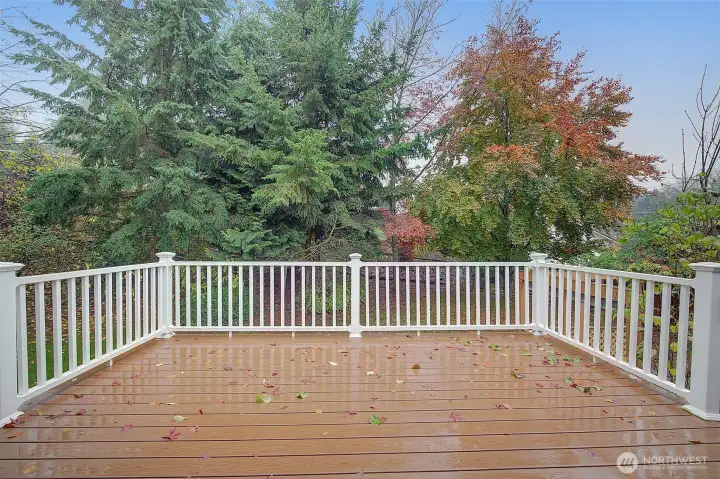 Spacious deck with new Trex decking.