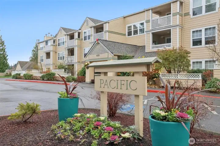 Pacific Building in Washington Village