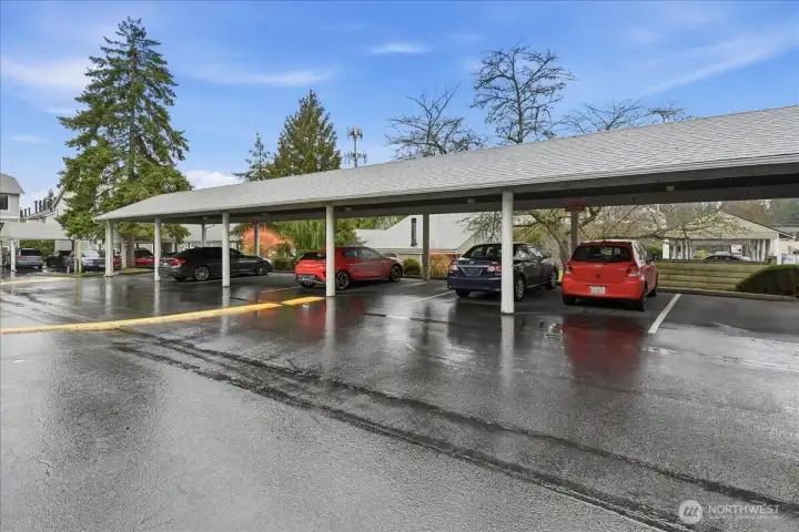 Unit has one designated undercover parking spot, located across from Building B.