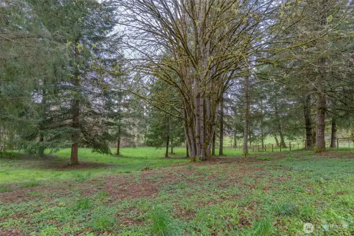 Spacious Pasture area