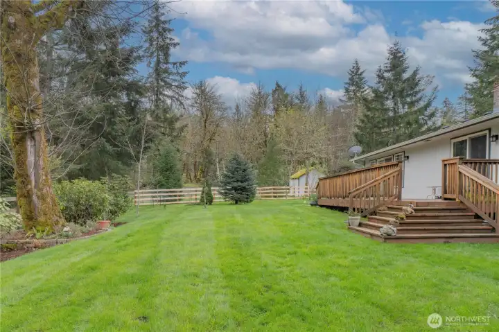 Private spacious fenced backyard