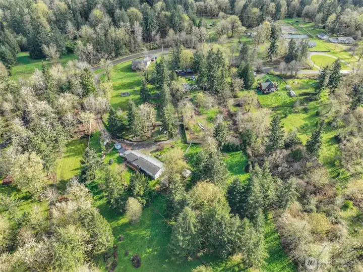 Secluded wooded estate